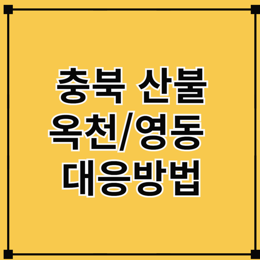 충북 옥천 산불: 지역사회와 자연의 위기