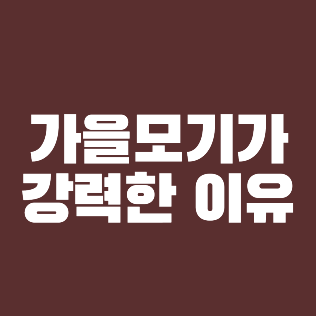 가을모기가 강력한 이유