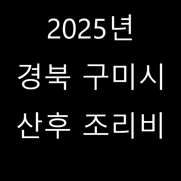 2025년 산후조리비 지원 총정리