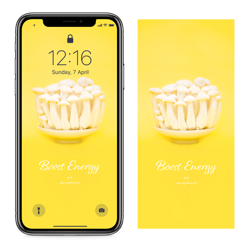 03 버섯 C - Boost Energy 아이폰노란색배경화면