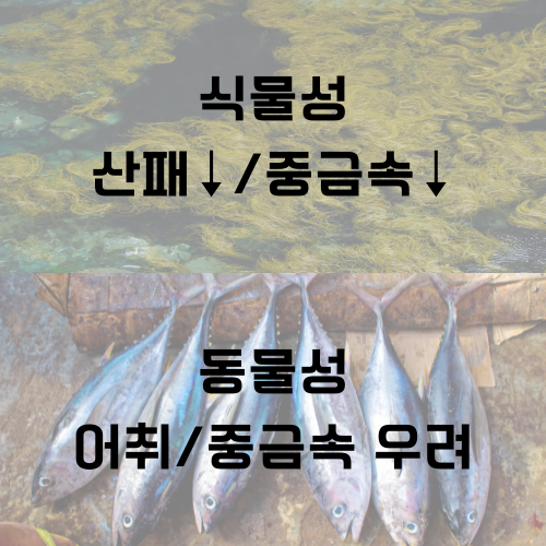 오메가3 동물성 식물성
