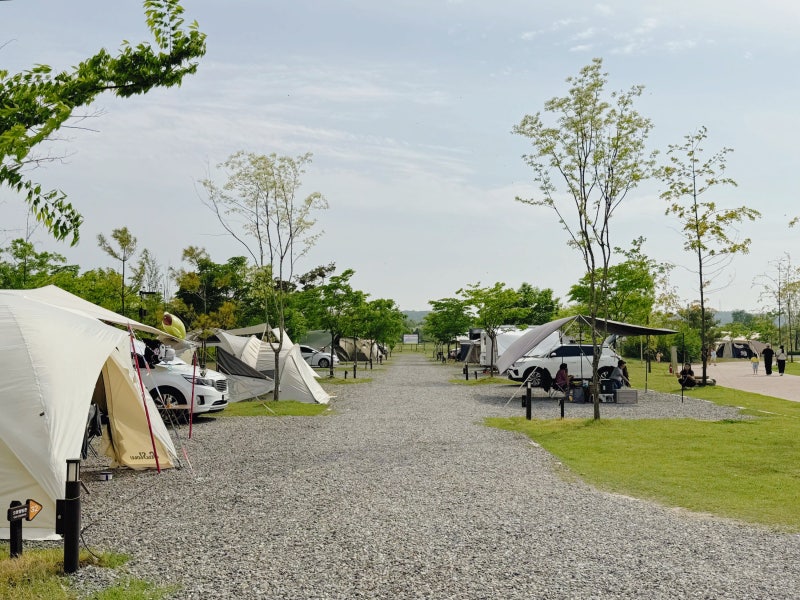 임진각평화누리캠핑장 예약