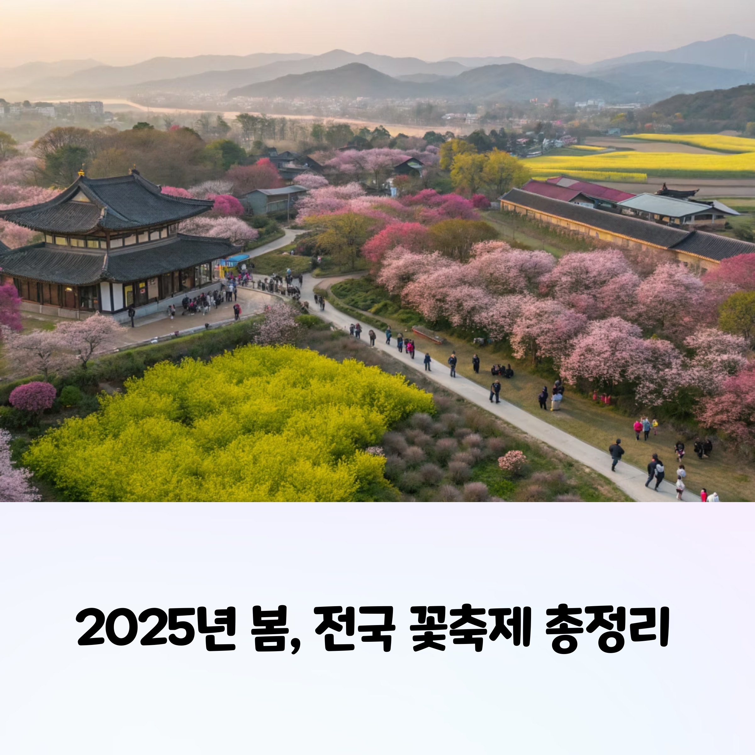 시기별 꽃축제 총정리, 2025년 봄 완벽 가이드