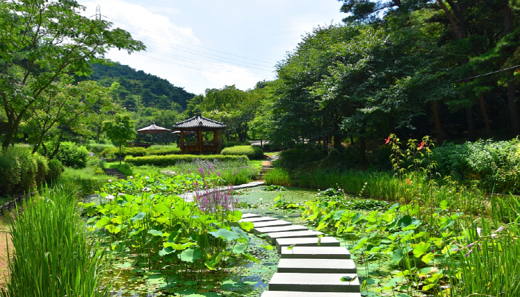 당진 삼선산수목원