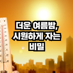 열대야 숙면 루틴 총정리