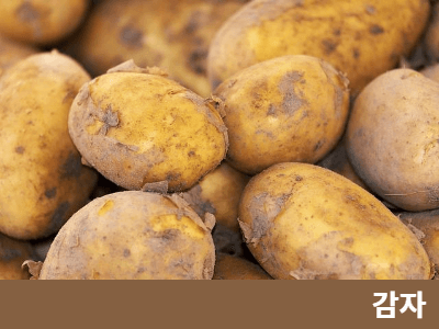 감자