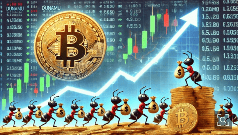 2024 가상자산 과세 유예 국민청원&amp;#44; 그 배경과 현황