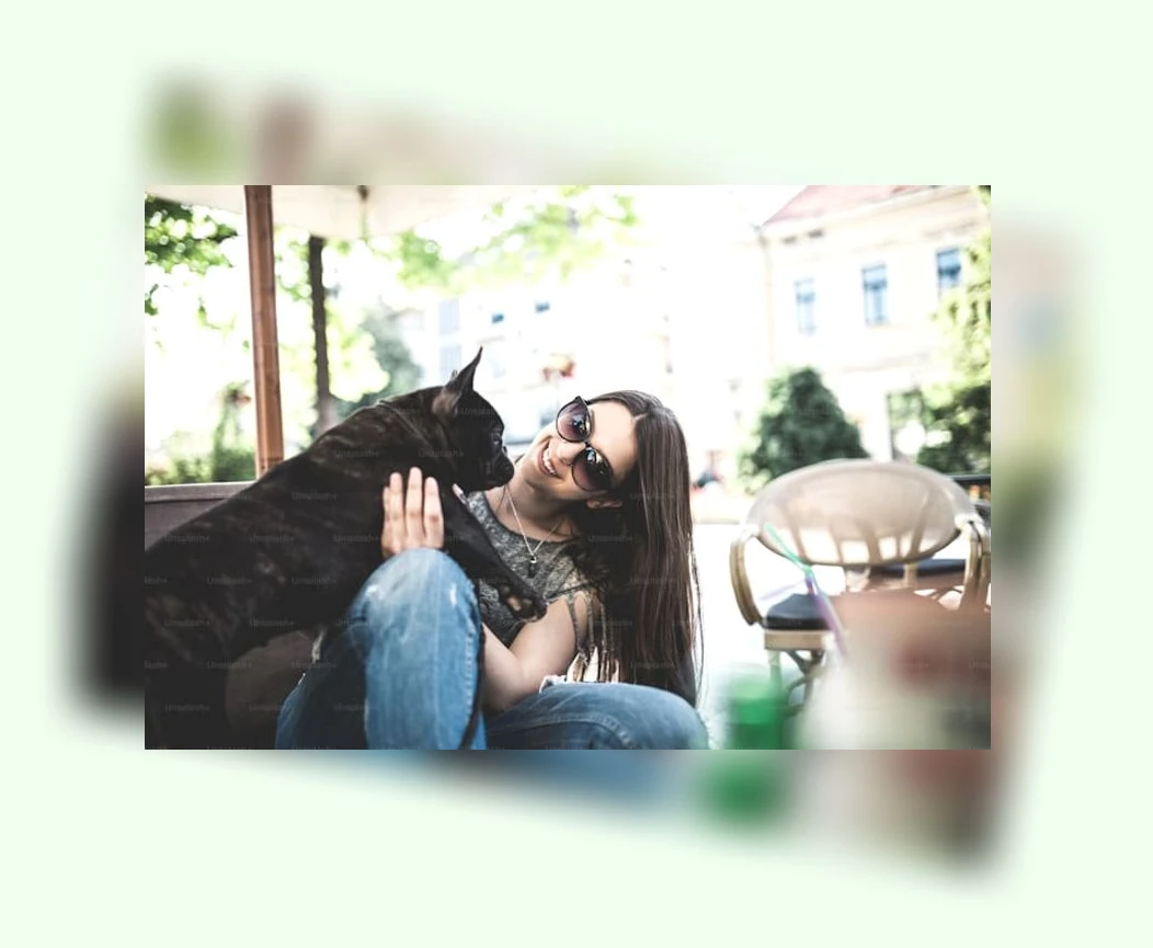 반려동물 해외 이동_3_subsection