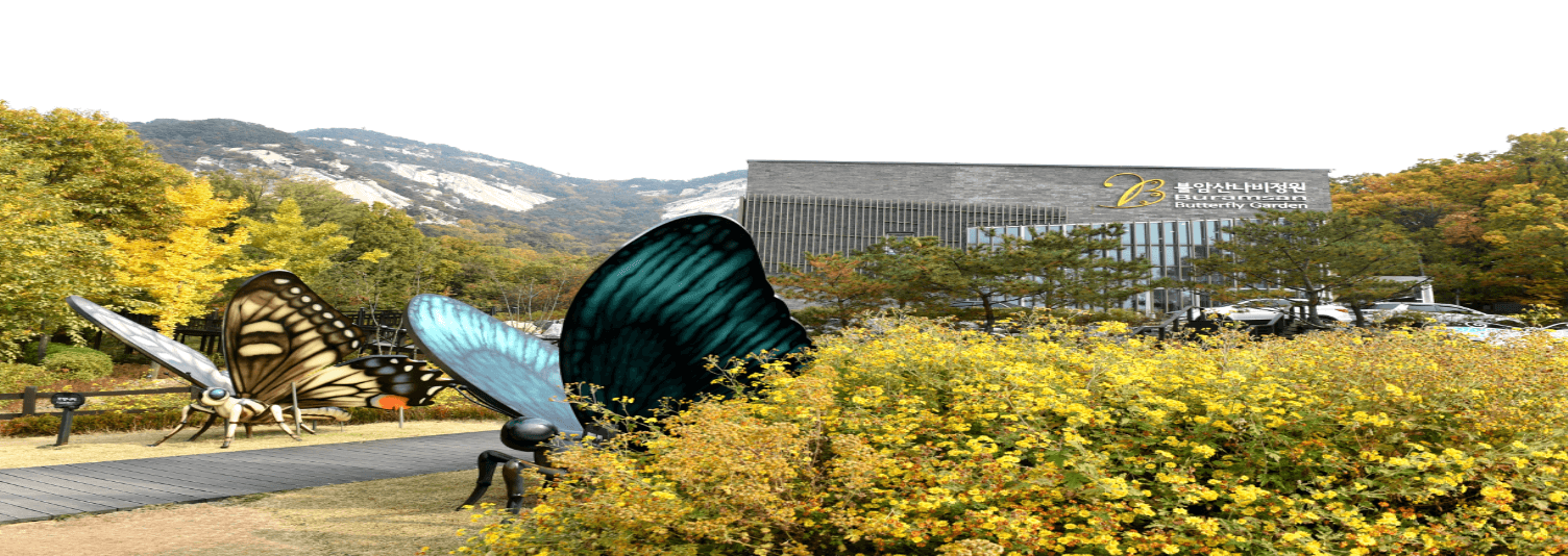 불암산 철쭉 축제