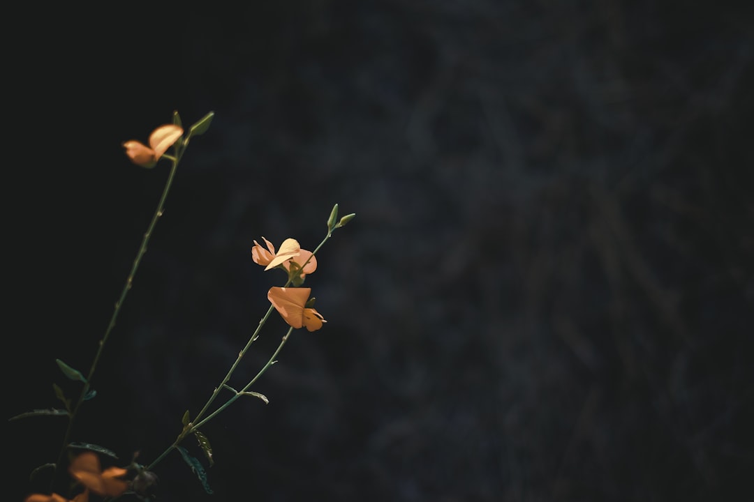 Sensitivity