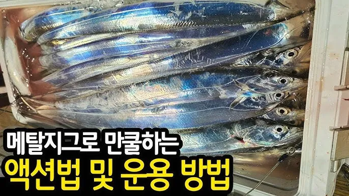 메탈지그 운용 삼치 회유 타이밍 포인트와 릴링 속도 조절_5