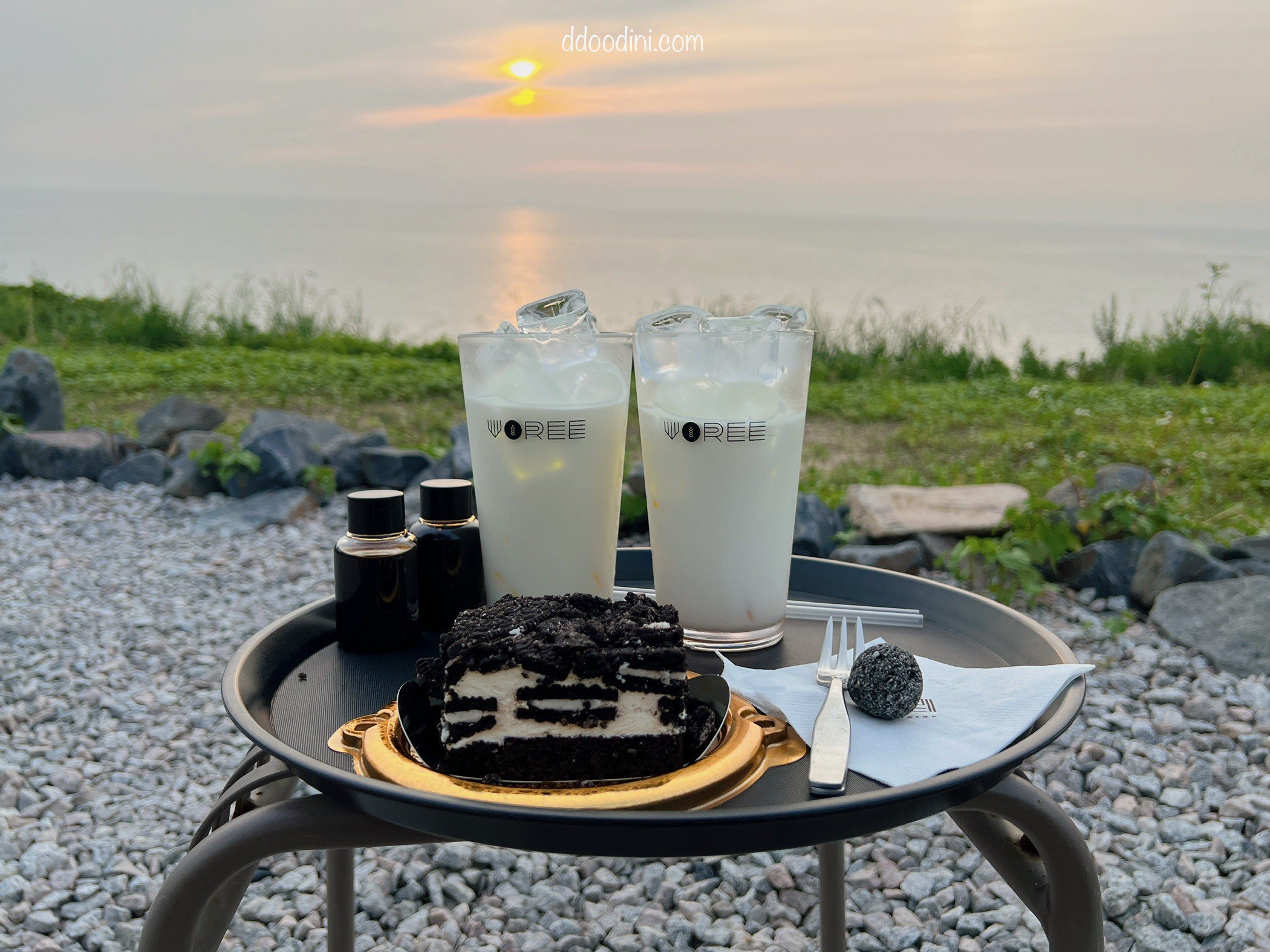 백수해안도로 보리