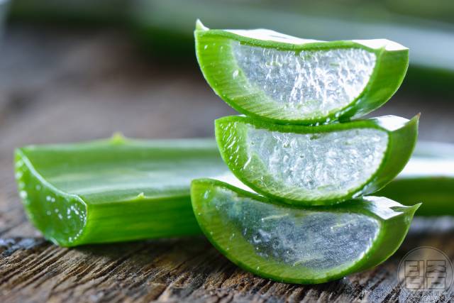 색소침착 제거 좋은 음식 알로에베라,색소침착 레이저 후기,색소침착 자연치유