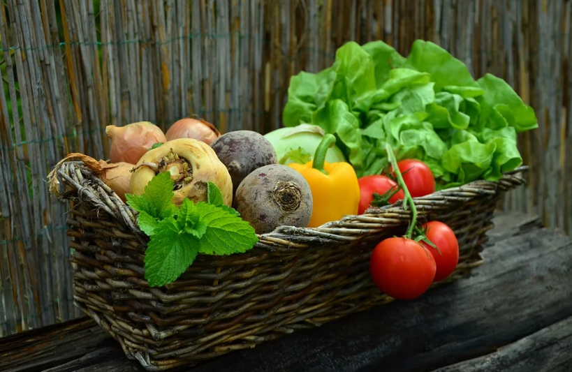 10월 가을 음식축제 BEST 07 전국 가을 여행 가볼만한곳