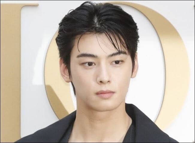 차은우프로필입대탈세