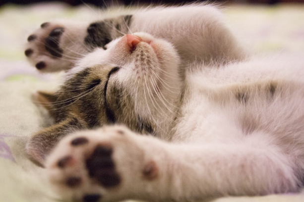 밤에 기침이 심할 때 꿀팁 모음