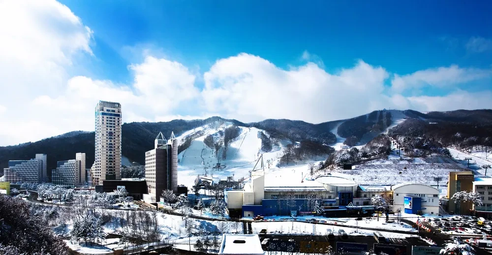전국 스키장 개장일 피닉스파크