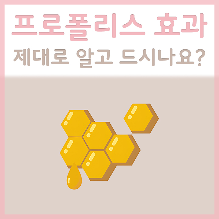 프로폴리스