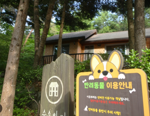 애견동반 자연휴양림