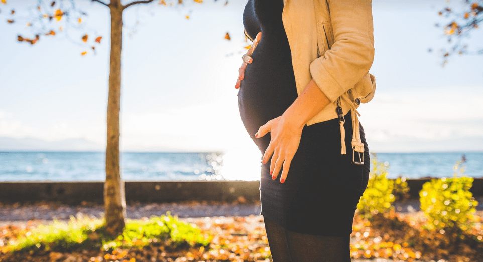 서리태 효능과 관련된 사진 - 15