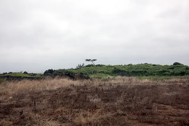 가을 제주도 가볼만한곳