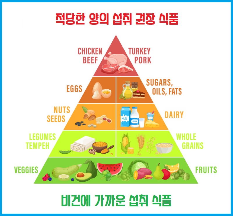 플렉시테리언 식단 섭취 조절 식품