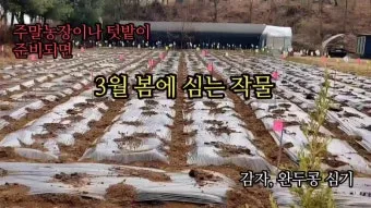 봄 텃밭 준비 토양 갈기 석회 퇴비 잡초 씨 제거_19