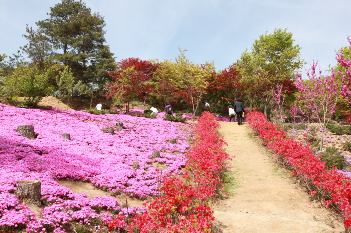 진안 가볼만한곳 베스트10