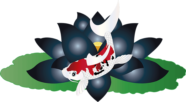 비단 잉어 썸네일