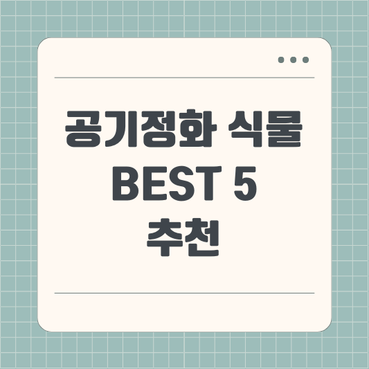 공기정화 식물 best 5