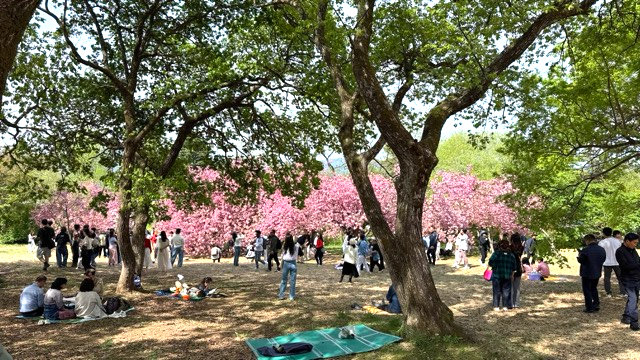 경주 여행지 추천