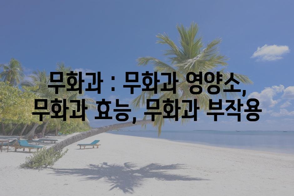 샘플 (79)
