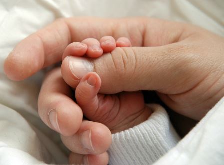 부모급여-지급일