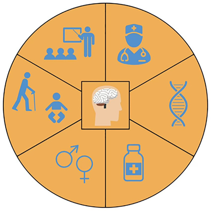 생산성이 폭발하는 시간대의 뇌 상태