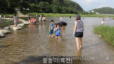 2024 양평메기수염 축제 일정, 예약, 주차장 위치