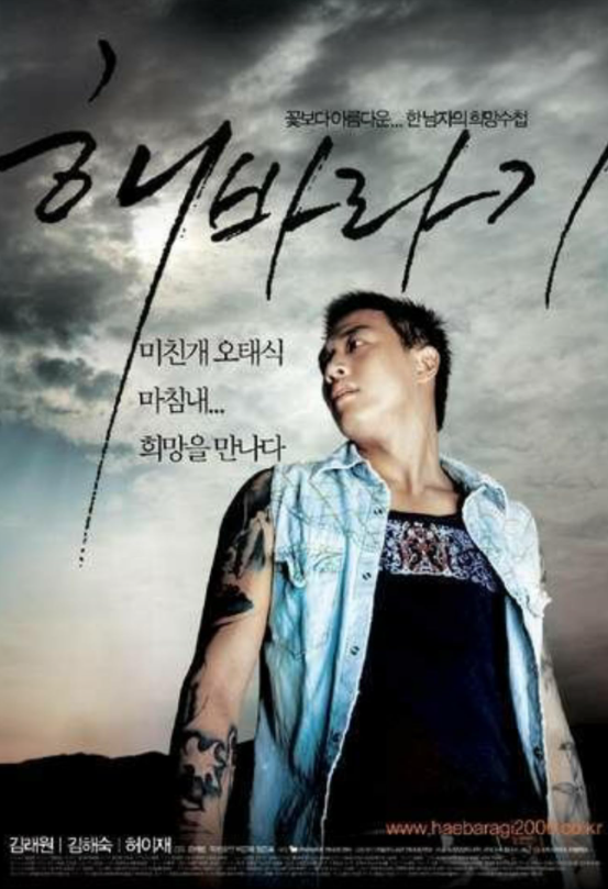 해바라기