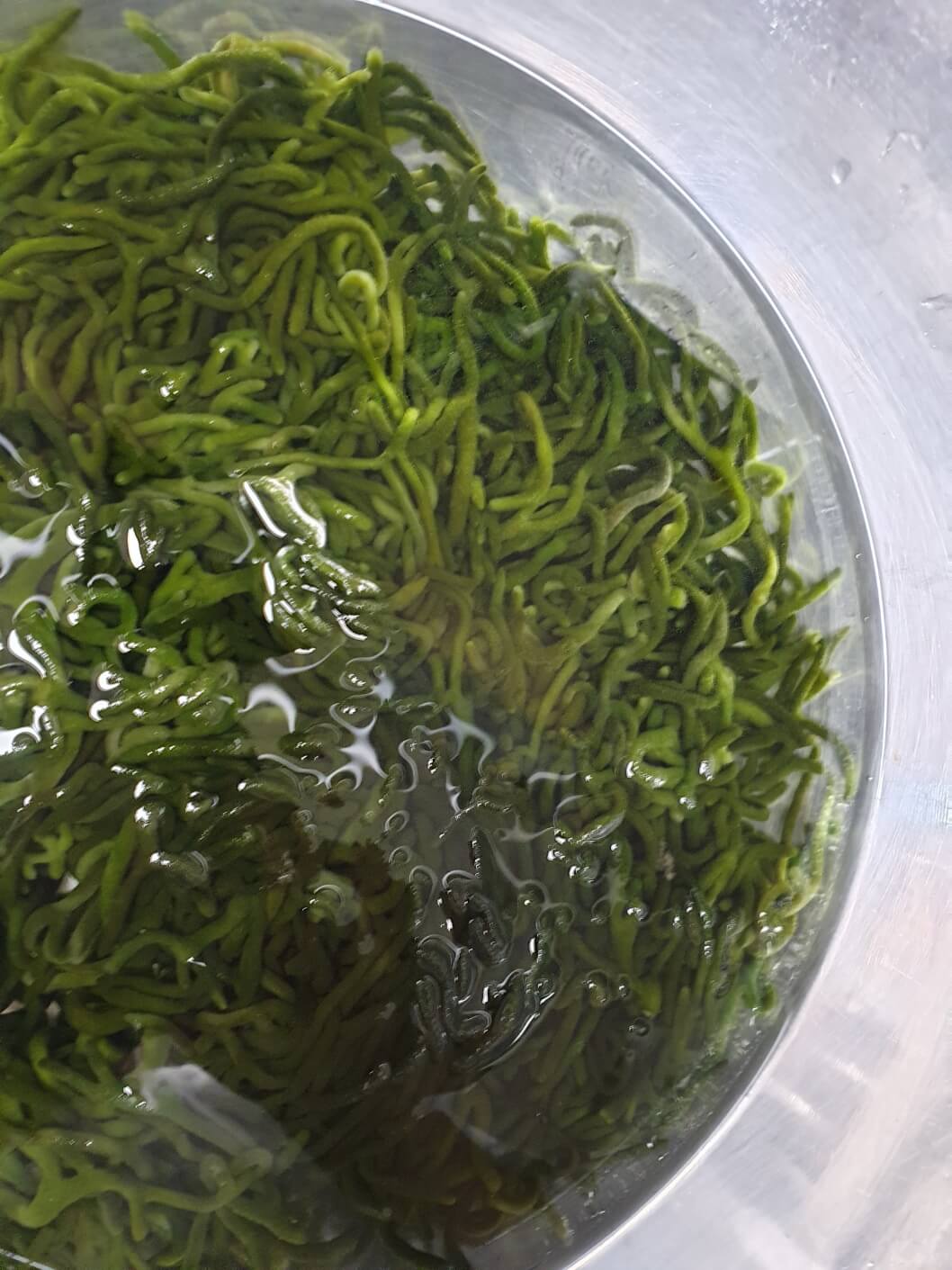 김치 재료 청각