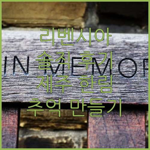 리벤시아 풀빌라 호텔 완전 솔직 후기