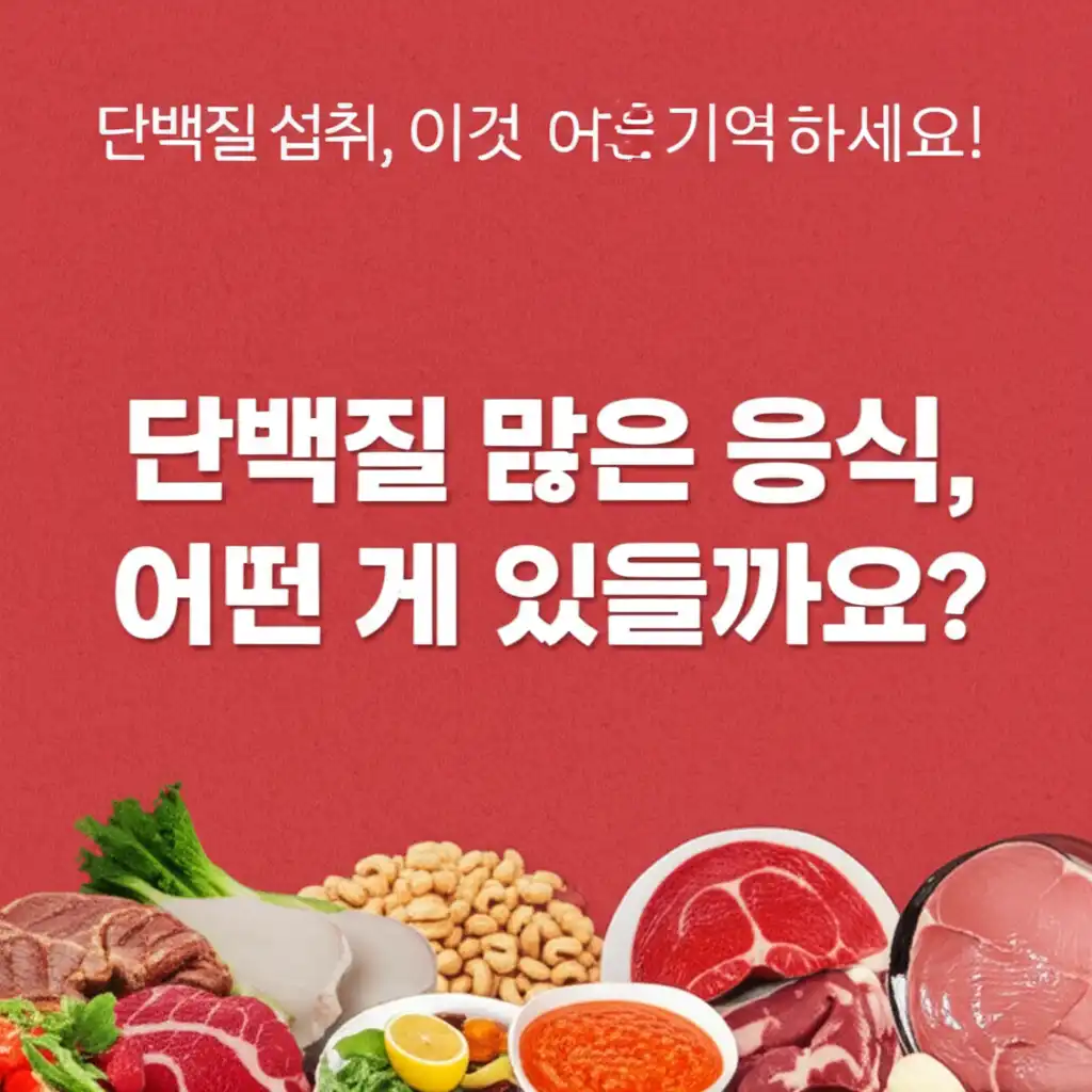 단백질많은음식어떤게있을까요_protein-intake-tips