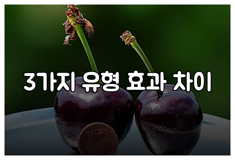 3가지 유형 효과 차이