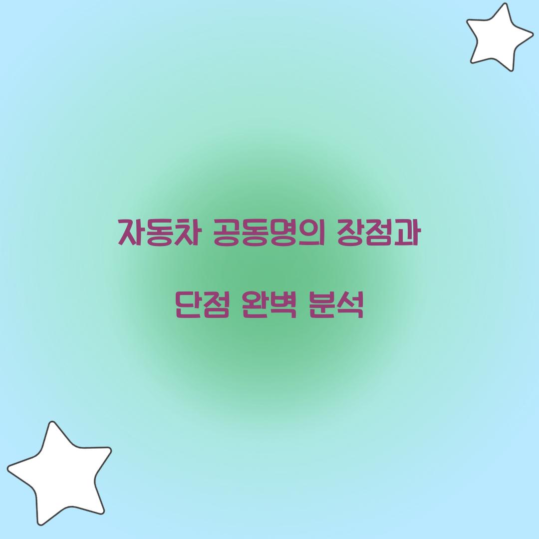 자동차 공동명의