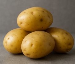 위에 좋은 음식