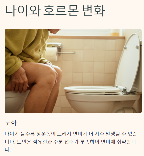 변비 원인