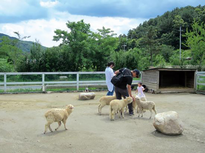 양평 가볼만한곳