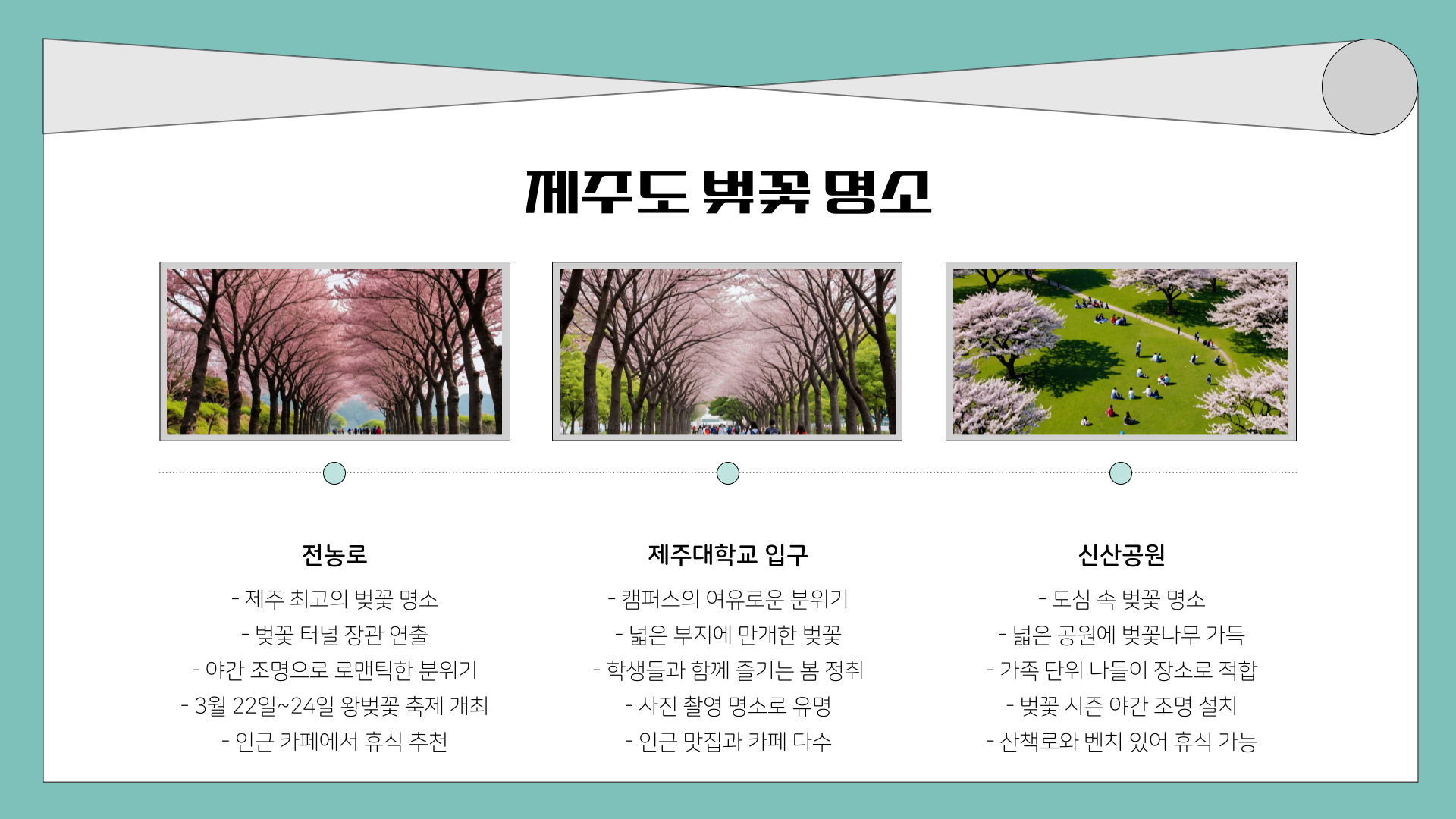 3월 제주도 가볼 만한 곳 10곳! 벚꽃, 유채꽃, 드라이브까지 완벽한 여행