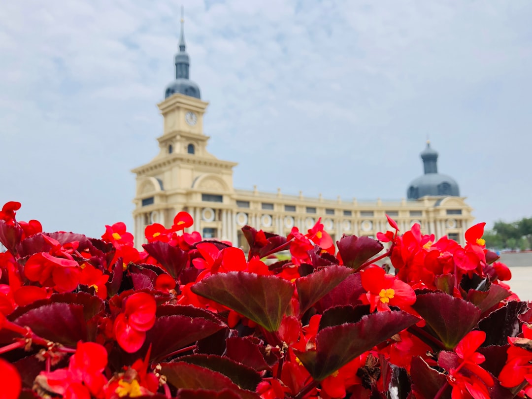 Harbin