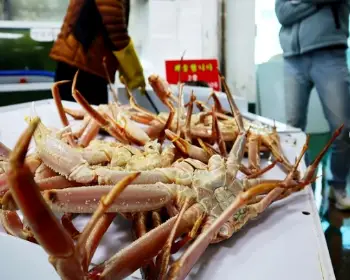 영덕 대게축제_10