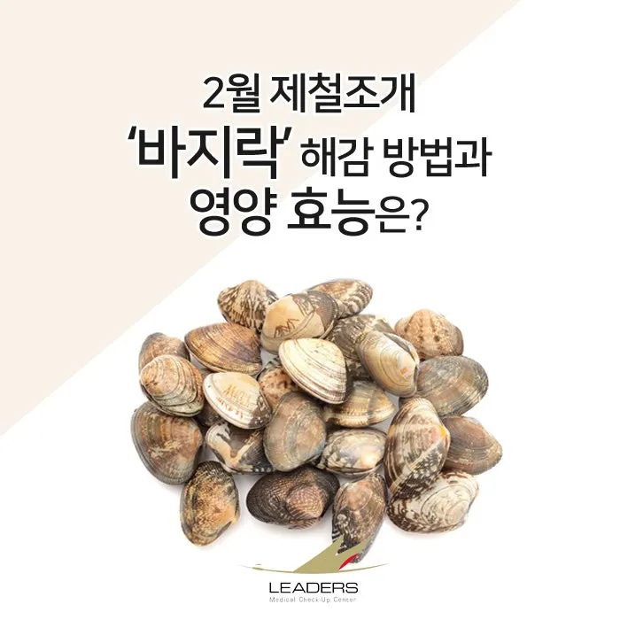 바지락 효능 보관방법 씻는법 해감시키는법_2