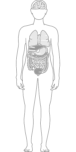 신장 동맥류 특징 관리 식습관