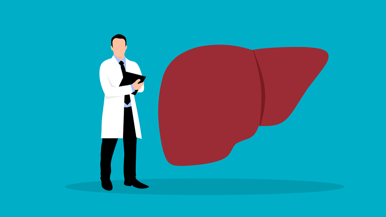 의사와 간을 의미하는 일러스트